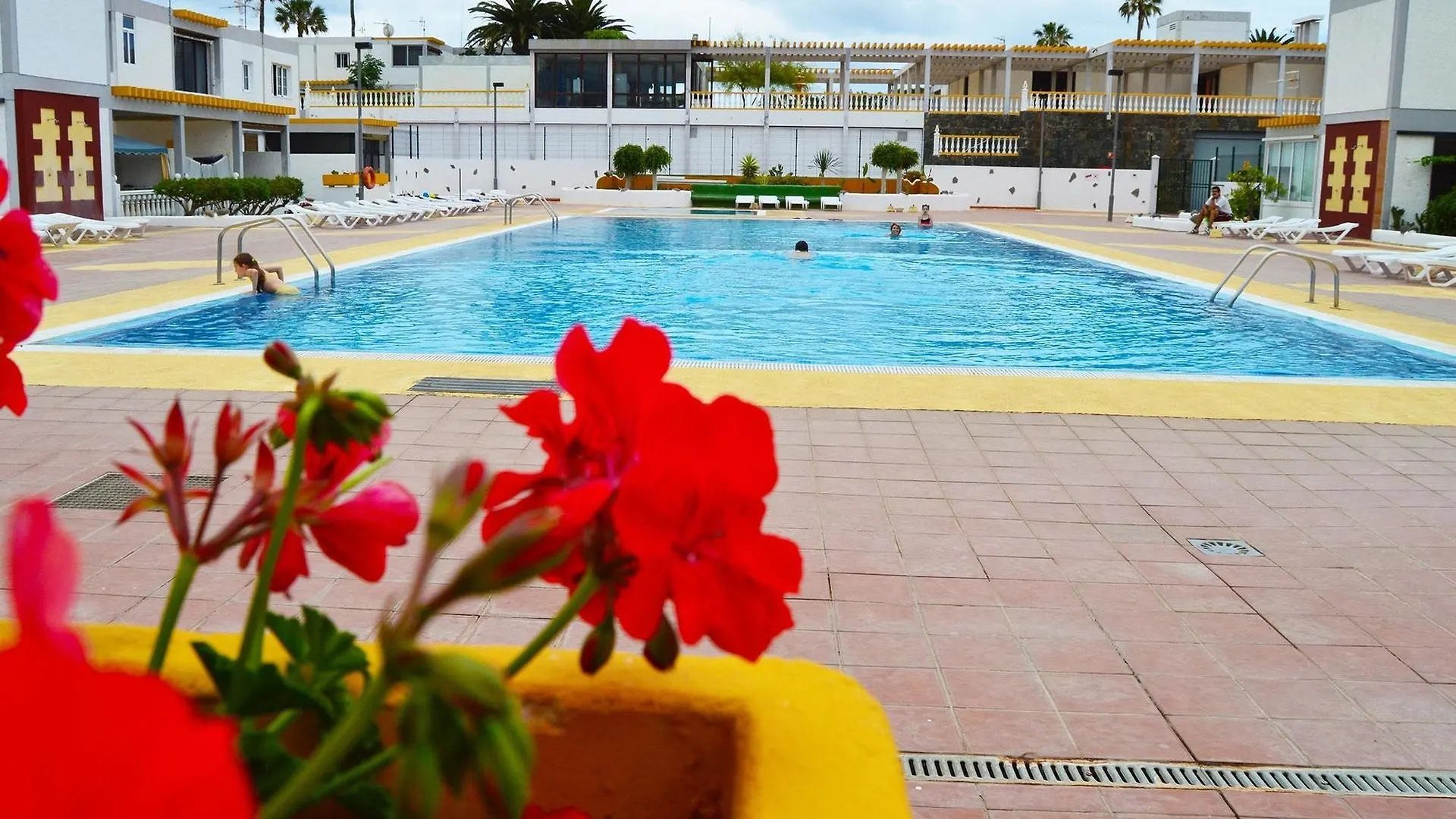 Studio In Santa Cruz De Tenerife, With Pool Access, Furnished Garden A Arona  Appartamento