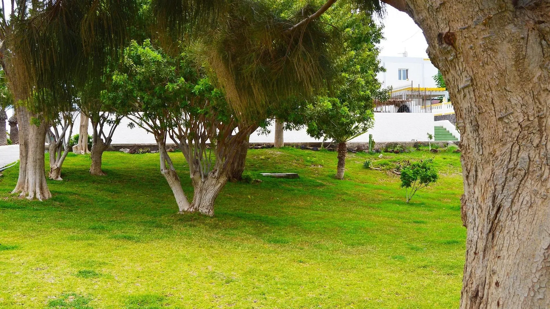 Studio In Santa Cruz De Tenerife, With Pool Access, Furnished Garden A Arona  Ισπανία